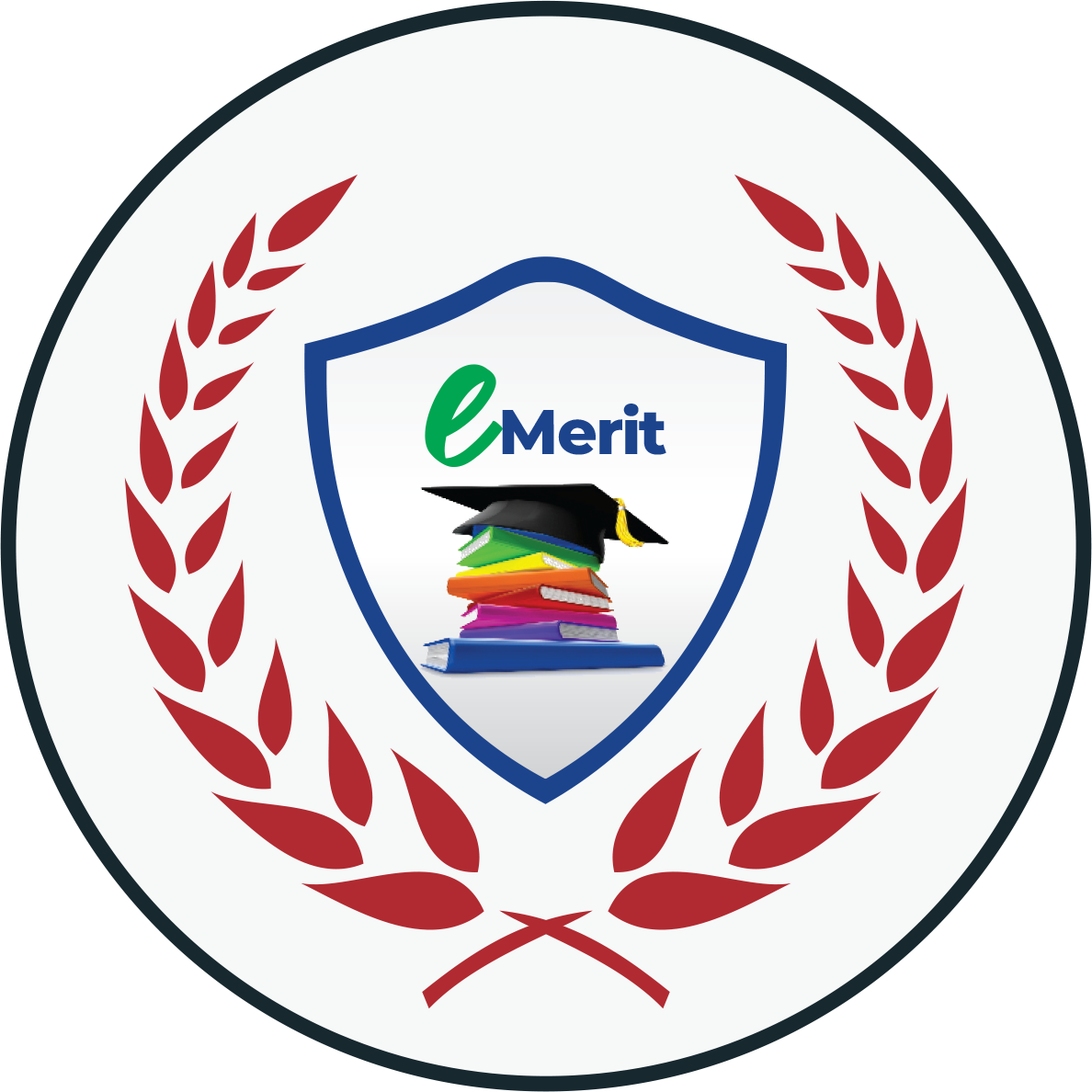eMerit Logo